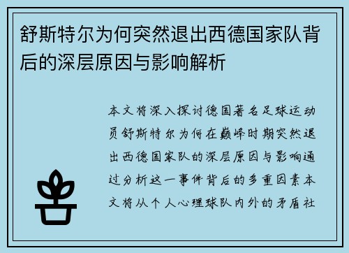舒斯特尔为何突然退出西德国家队背后的深层原因与影响解析